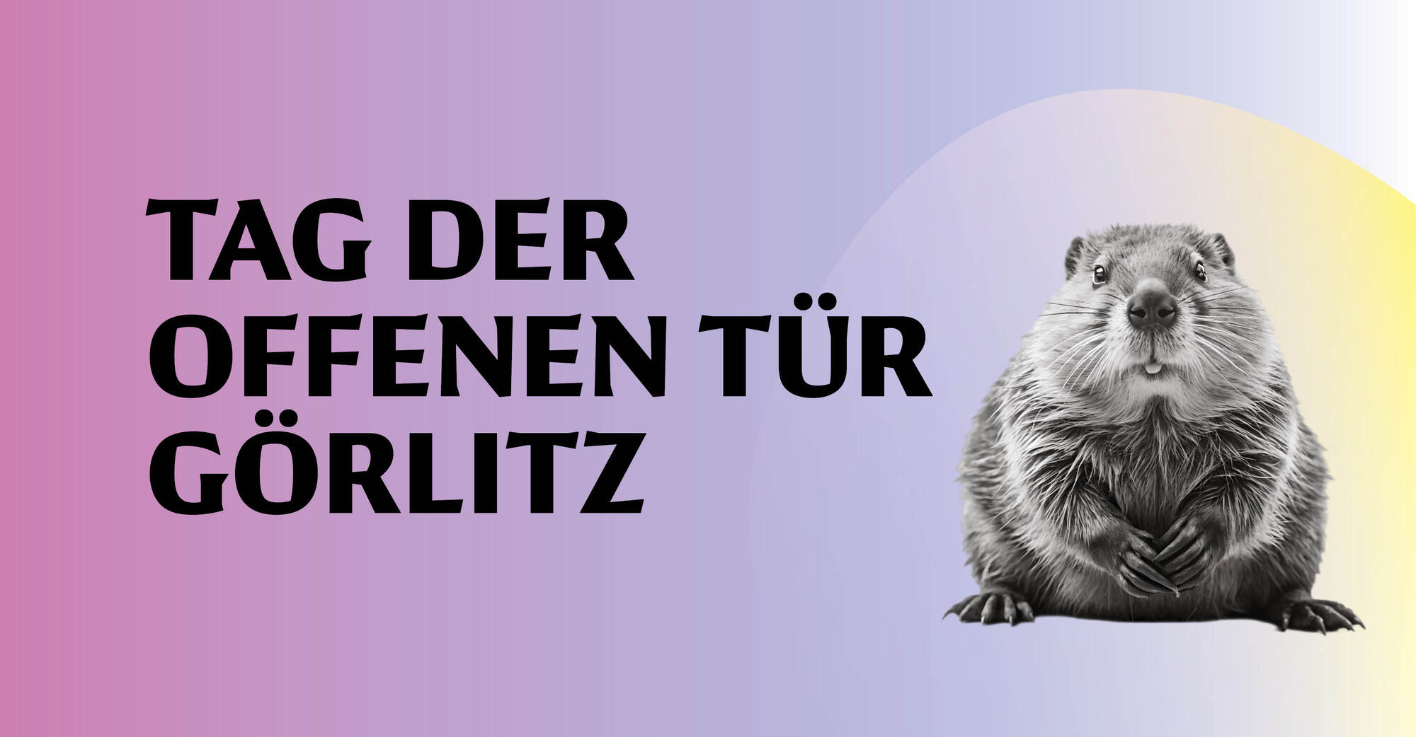 Titelbild Tag der offenen Tür Görlitz mit Biber