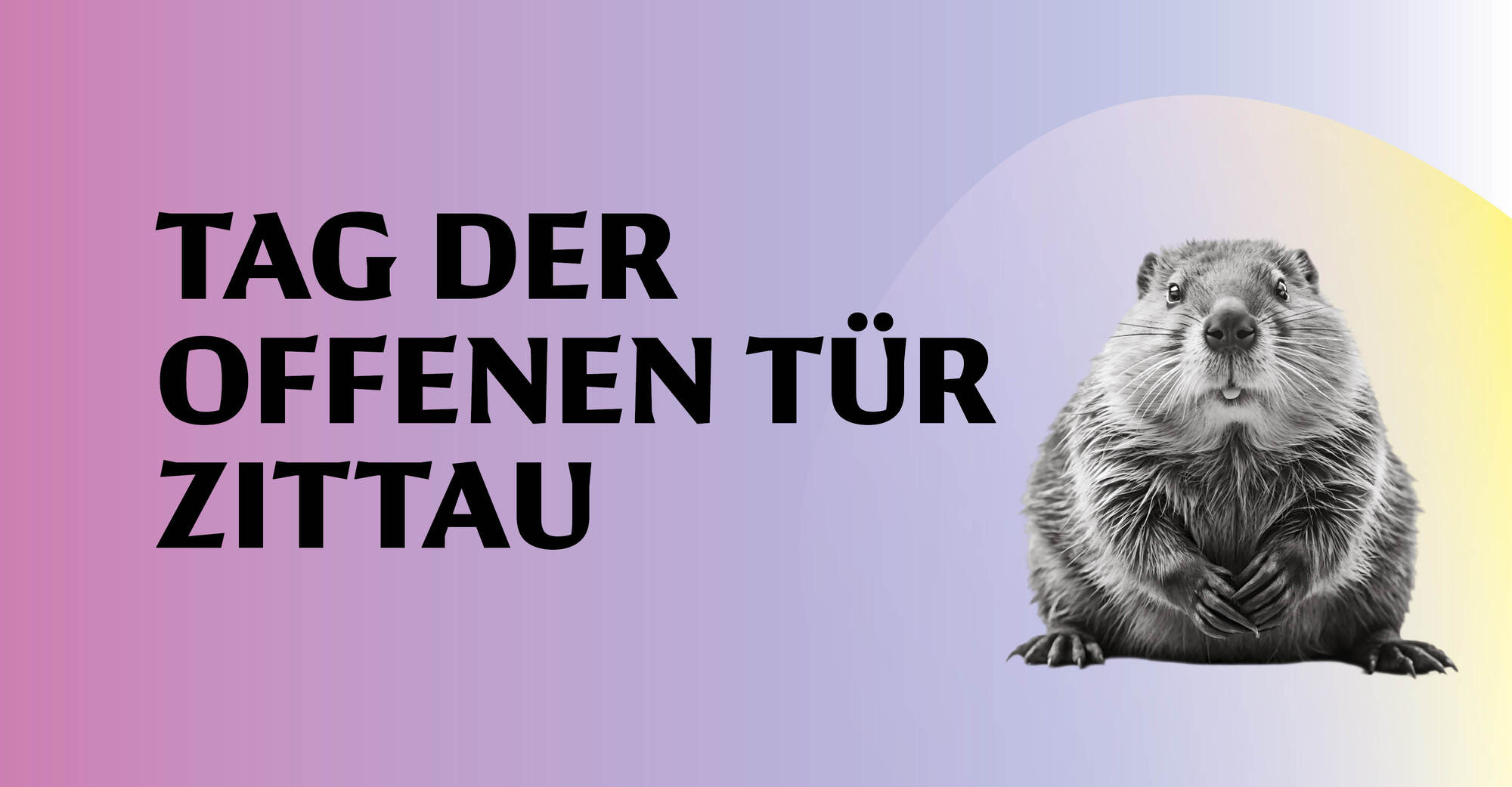 Titelbild: Tag der offenen Tür Zittau